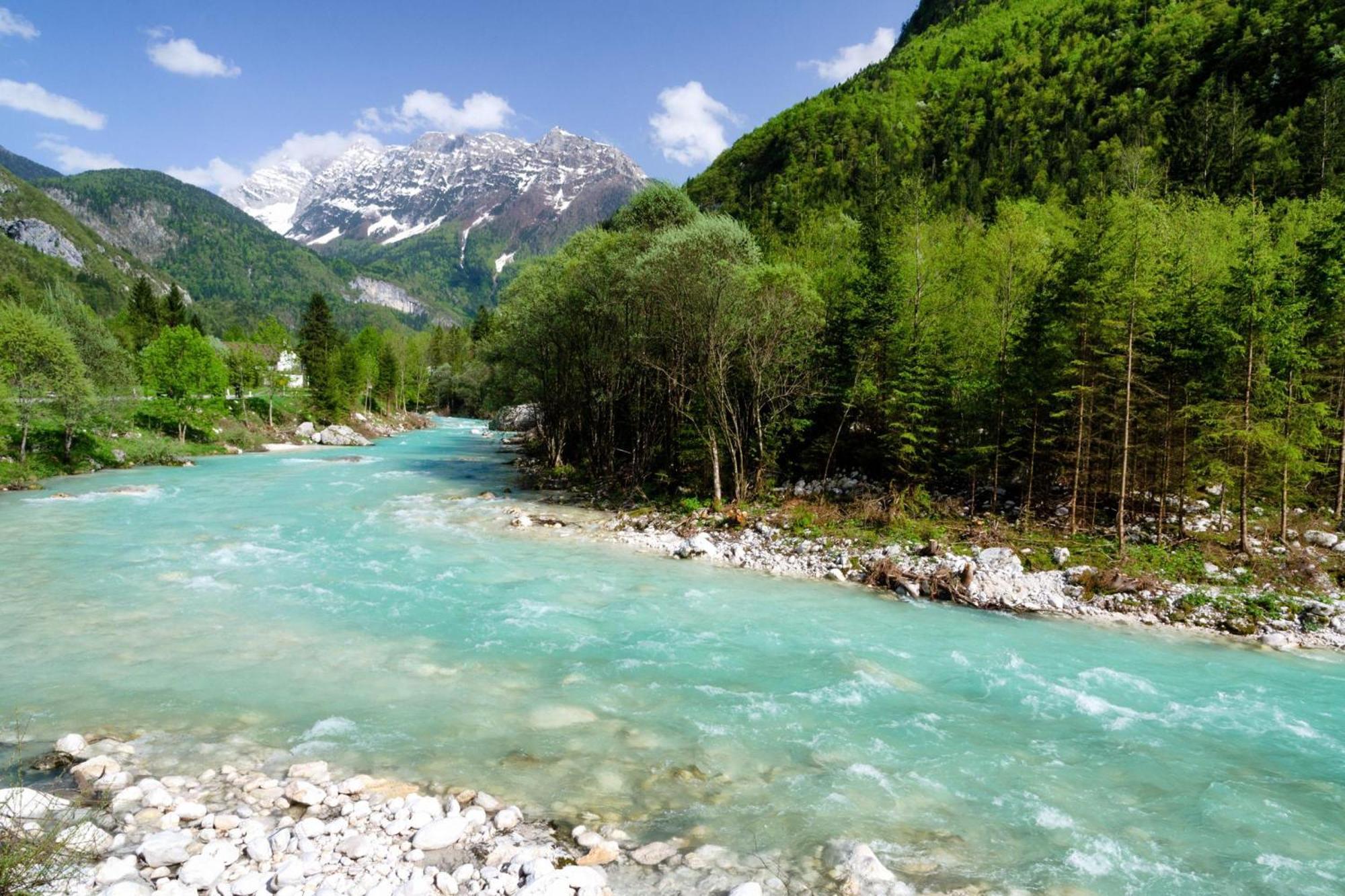 House By The Stream - Happy Rentals Avce Extérieur photo