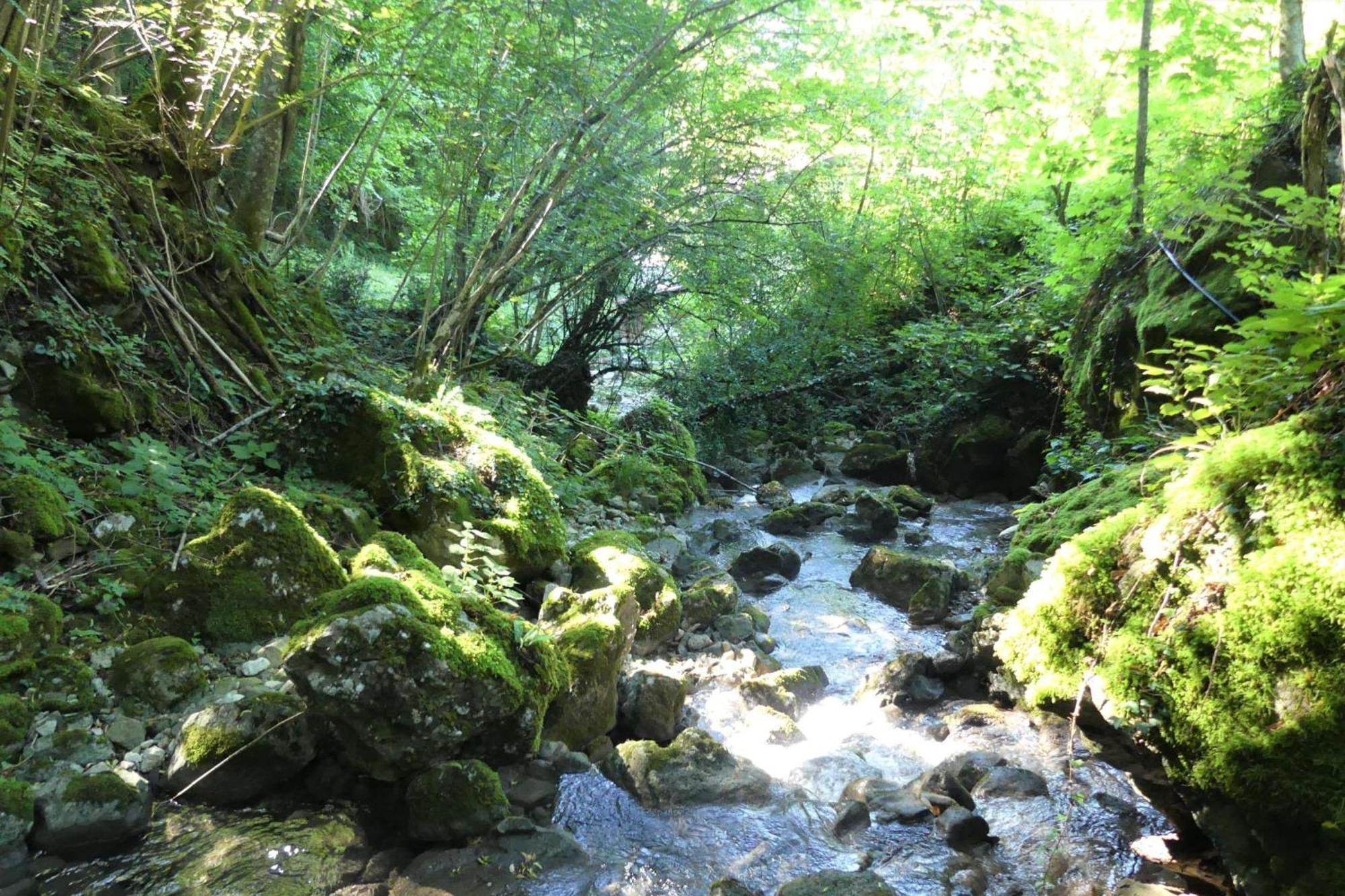 House By The Stream - Happy Rentals Avce Extérieur photo