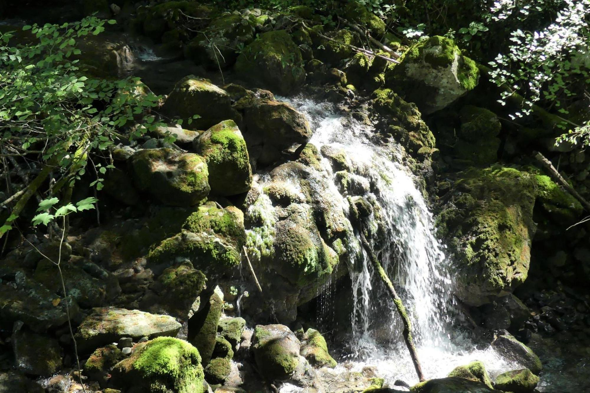 House By The Stream - Happy Rentals Avce Extérieur photo