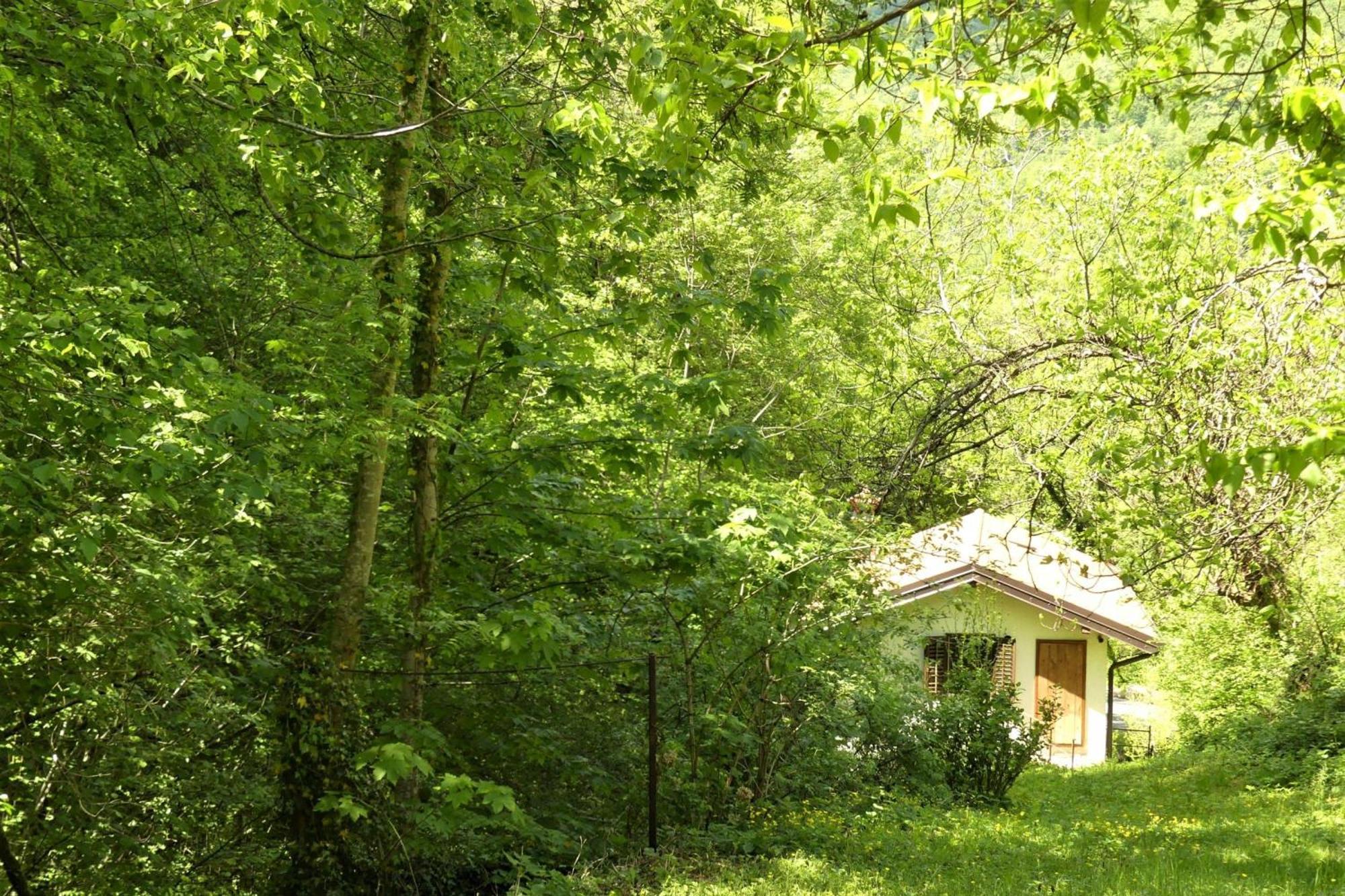 House By The Stream - Happy Rentals Avce Extérieur photo